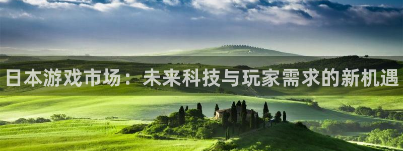 鼎点娱乐平台：日本游戏市场：未来科技与玩家需求的新机遇