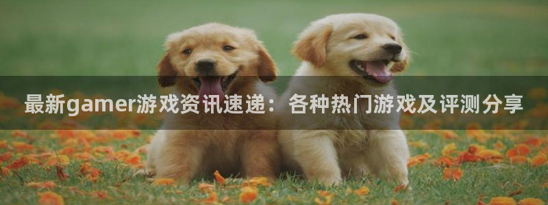 鼎点娱乐登录地址：最新gamer游戏资讯速递：各种热门游戏及