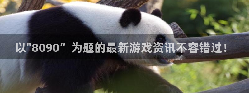 鼎点娱乐平台登录入口：以\