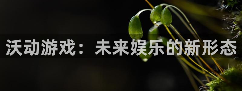 鼎点娱乐娱乐是真的吗：沃动游戏：未来娱乐的新形态