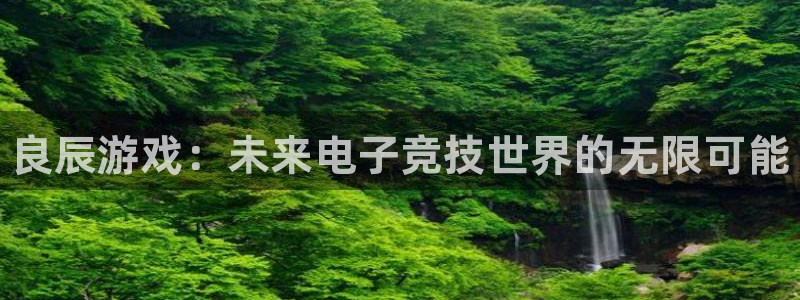 鼎点娱乐官方平台：良辰游戏：未来电子竞技世界的无限可能