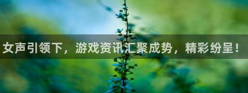 鼎点娱乐升级5994月：女声引领下，游戏资讯汇聚成势，精彩纷