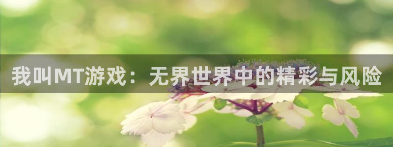 鼎点娱乐直属：我叫MT游戏：无界世界中的精彩与风险