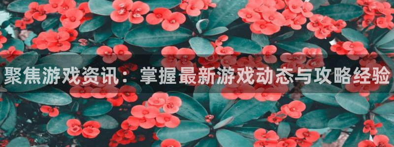 鼎点娱乐的意思：聚焦游戏资讯：掌握最新游戏动态与攻略经验