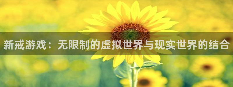 鼎点娱乐平台负责人：新戒游戏：无限制的虚拟世界与现实世界的结