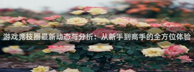 鼎点娱乐官网：游戏竞技圈最新动态与分析：从新手到高手的全方位