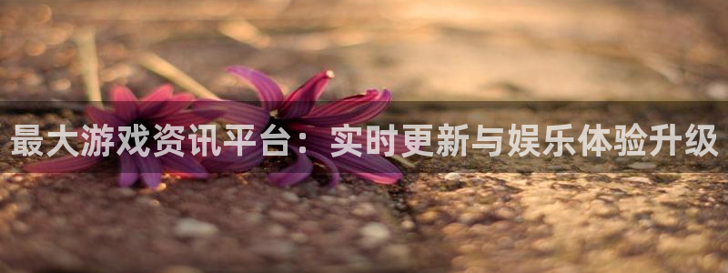 鼎点娱乐网页版地址:最大游戏资讯平台:实时更新与娱乐体验升级