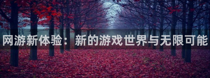 鼎点娱乐平台官方网站：网游新体验：新的游戏世界与无限可能