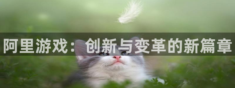 鼎点娱乐升级5994月：阿里游戏：创新与变革的新篇章