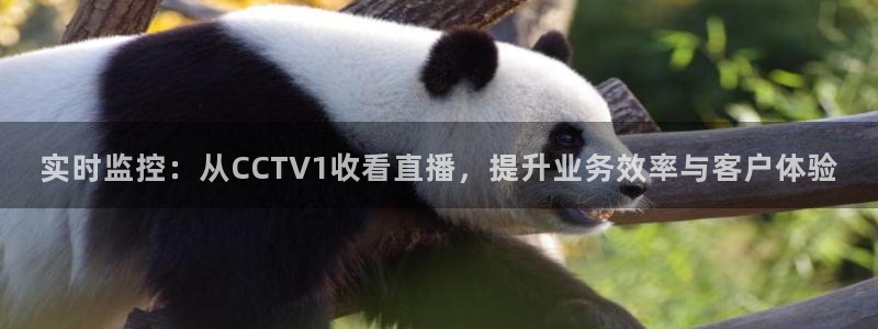 蓝鲸直播 app下载：实时监控：从CCTV1收看直播，提升业务效率与客户体验