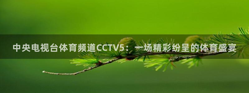 nba直播蓝鲸体育：中央电视台体育频道CCTV5：一场精彩纷呈的体育盛宴