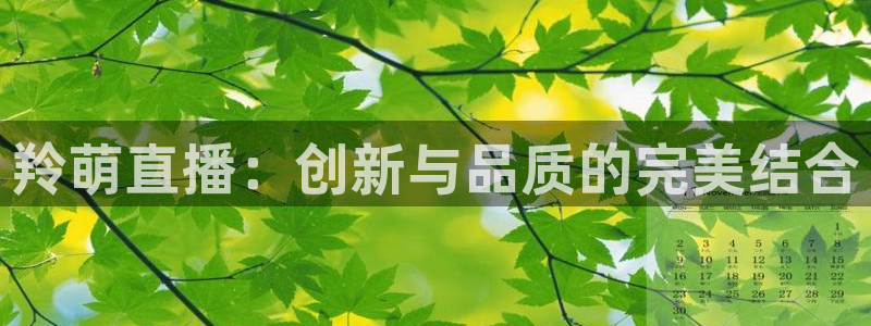 蓝鲸体育直播在线观看：羚萌直播：创新与品质的完美结合