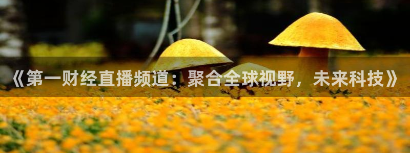 蓝鲸直播体育app：《第一财经直播频道：聚合全球视野，未来科技》