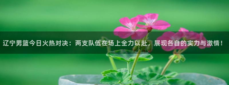 蓝鲸鱼直播：辽宁男篮今日火热对决：两支队伍在场上全力以赴，展现各自的实力与激情！