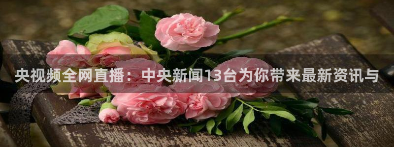 蓝鲸直播体育免费直播：央视频全网直播：中央新闻13台为你带来最新资讯与