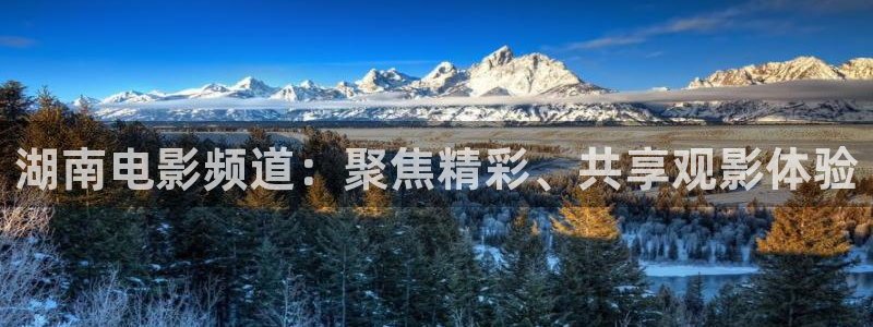 蓝鲸fm直播：湖南电影频道：聚焦精彩、共享观影体验
